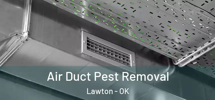  Air Duct Pest Removal Lawton - OK