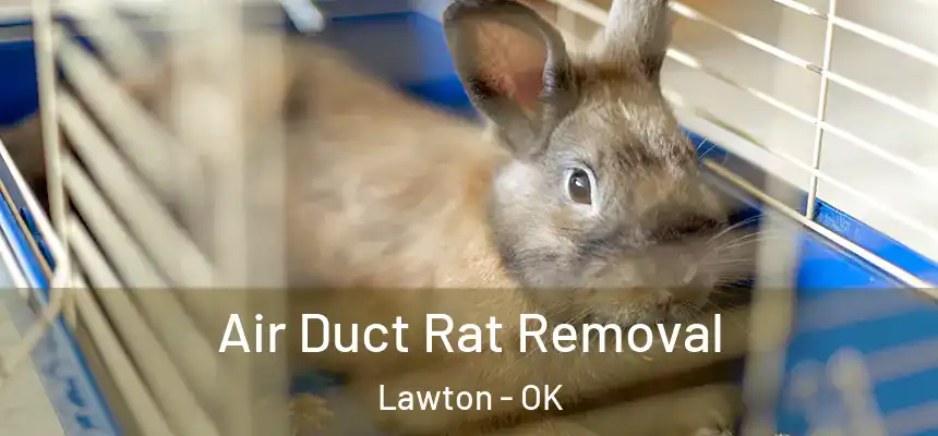  Air Duct Rat Removal Lawton - OK