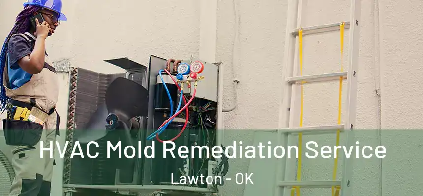 HVAC Mold Remediation Service Lawton - OK