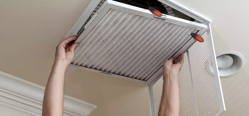 Our Insect Removal from Air Ducts Services in Lawton, OK