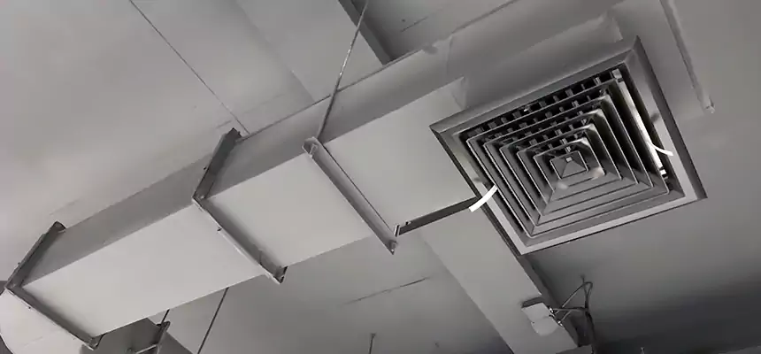 Our Pest Removal From Ducts Services in Lawton, OK