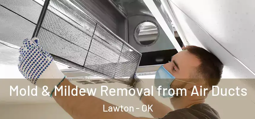  Mold & Mildew Removal from Air Ducts Lawton - OK