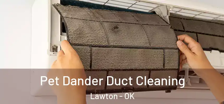 Pet Dander Duct Cleaning Lawton - OK