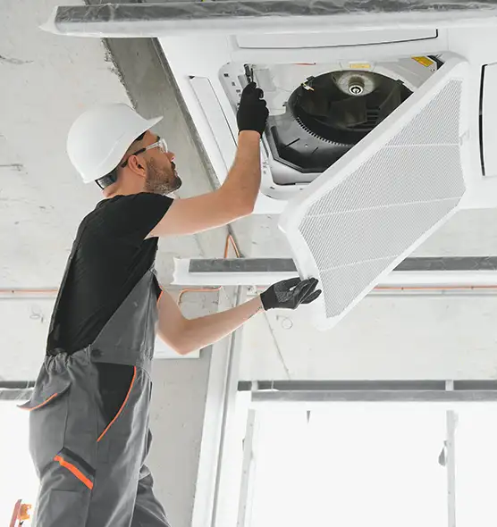 About Air Duct Rodent Removal in Lawton, OK